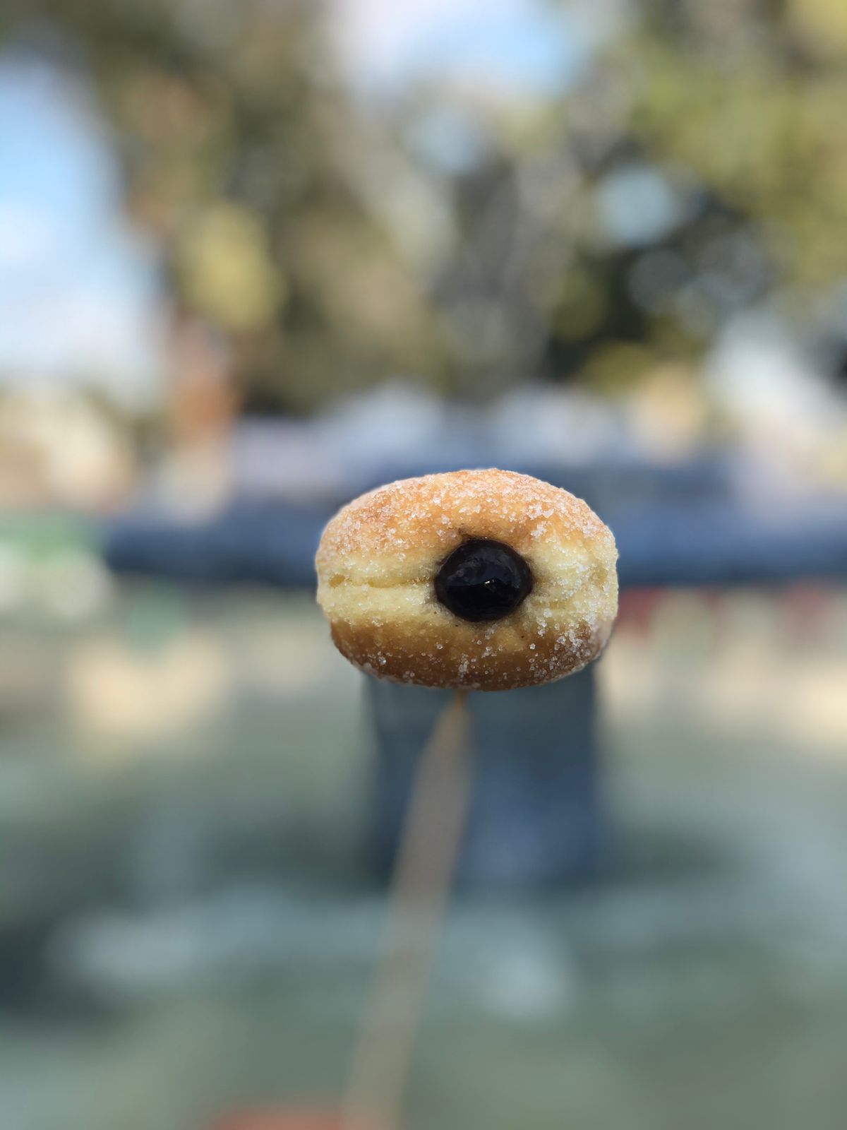 LARGE BOMBOLONI DONUTS