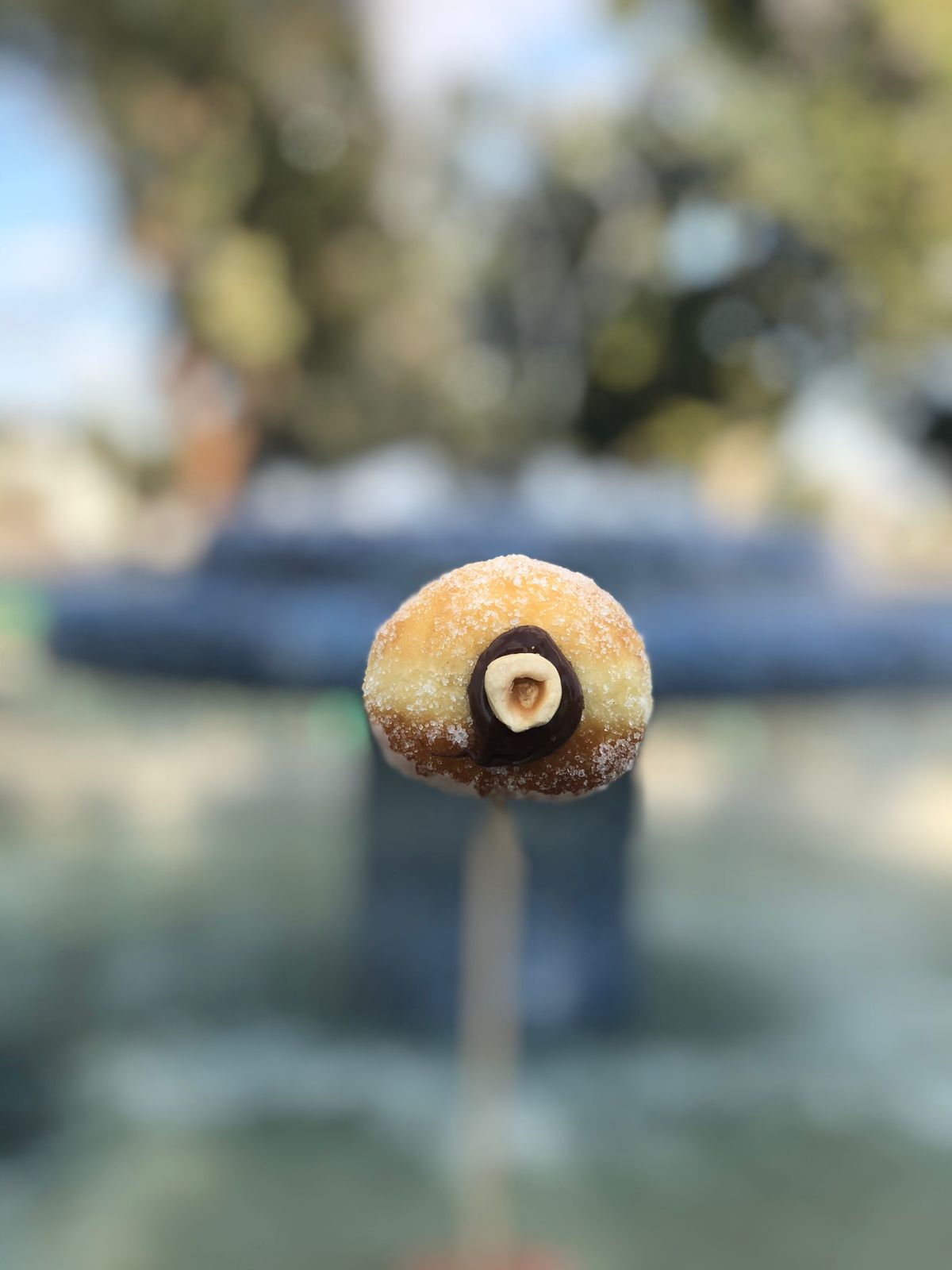 LARGE BOMBOLONI DONUTS